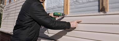 Best Custom Trim and Detailing for Siding  in Citrus Hills, FL